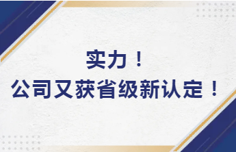 實(shí)力！公司又獲省級(jí)新認(rèn)定